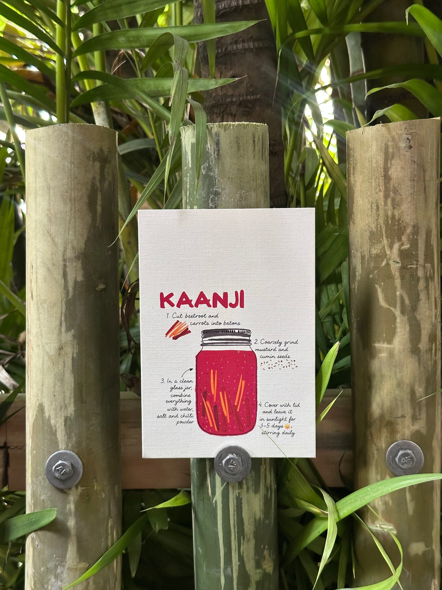 Kaanji postcard displayed against bamboo fence.