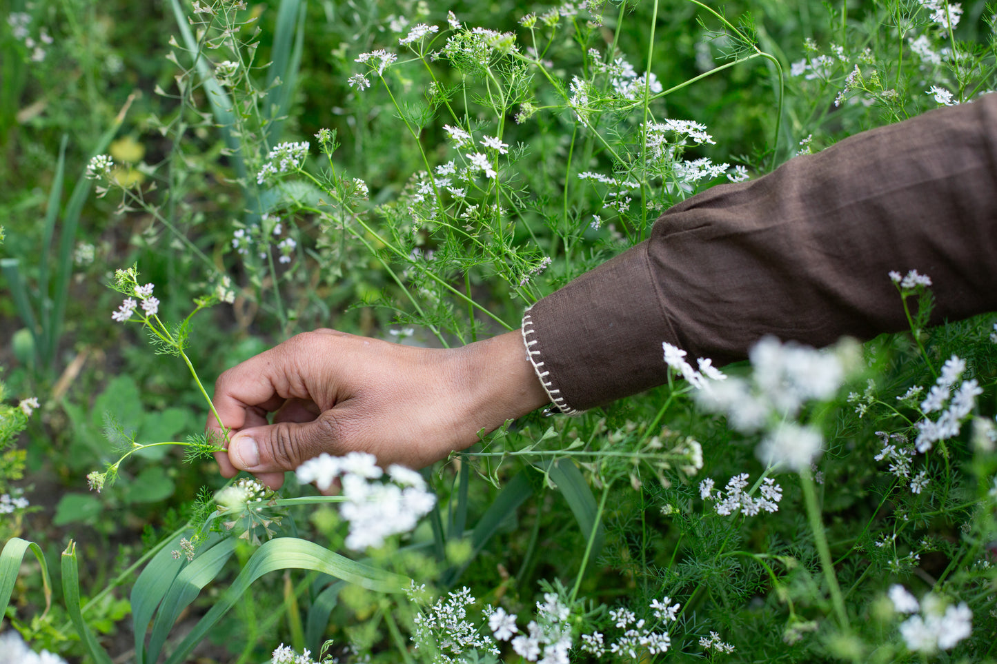 Starry nights brown linen shirt