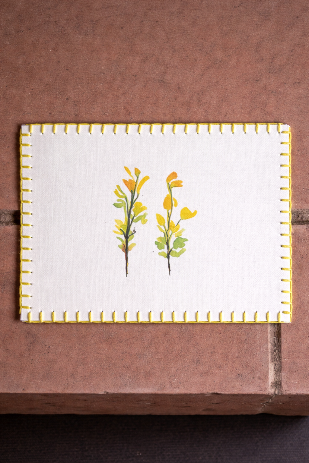 Floral postcards set of 6