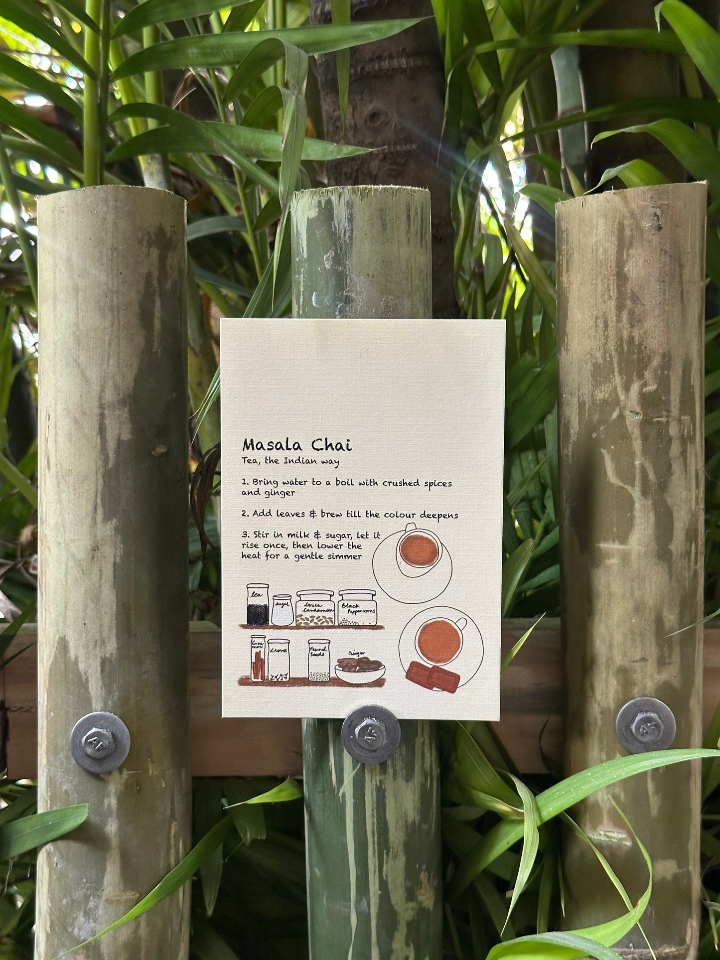 Thaali tales (Recipe postcards set of 6)