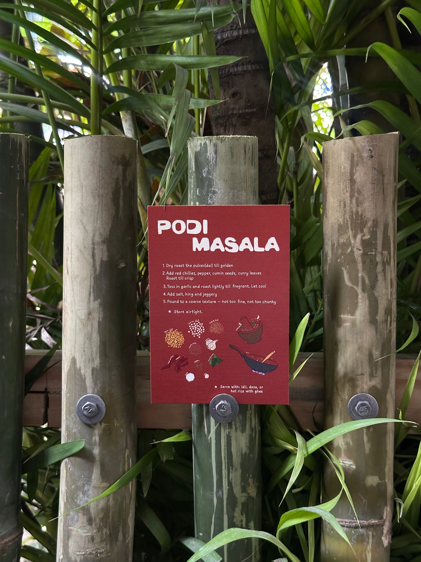 Thaali tales (Recipe postcards set of 6)